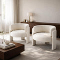 Velvet Accent Chairs Set of 2 Barrel Accent Chair for Living Room Upholstered Barrel Armchair Teddy Velvet Comfy Padded Reading Chairs for Bedroom Single Sofa with Wood Frame