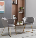 Velvet AccentConversation Lounge Chair with Iron Metal Gold Plated Legs Suitable for Office Lounge Living Room Set of 2 Grey