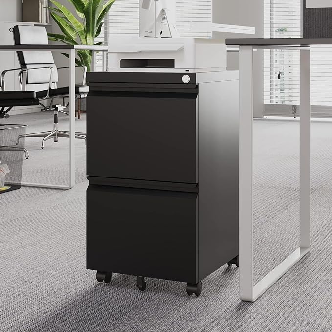 Letaya 2 Drawer Mobile File Cabinet with Lock Under Desk Metal Rolling Filing Cabinets for Home Office Organizer Letters/Legal/A4 (Black- Requires Installation)