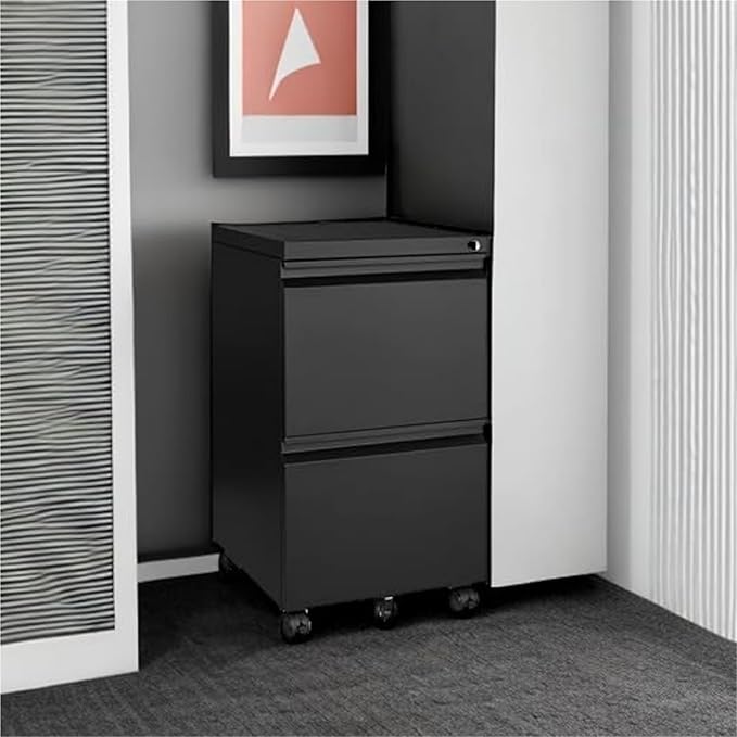 Mobile File Cabinet 2 Drawer On Wheels Home Office Mobile Under Desk with Lock Vertical Files Drawers for Legal/Letter/A4 Filing Cabinets