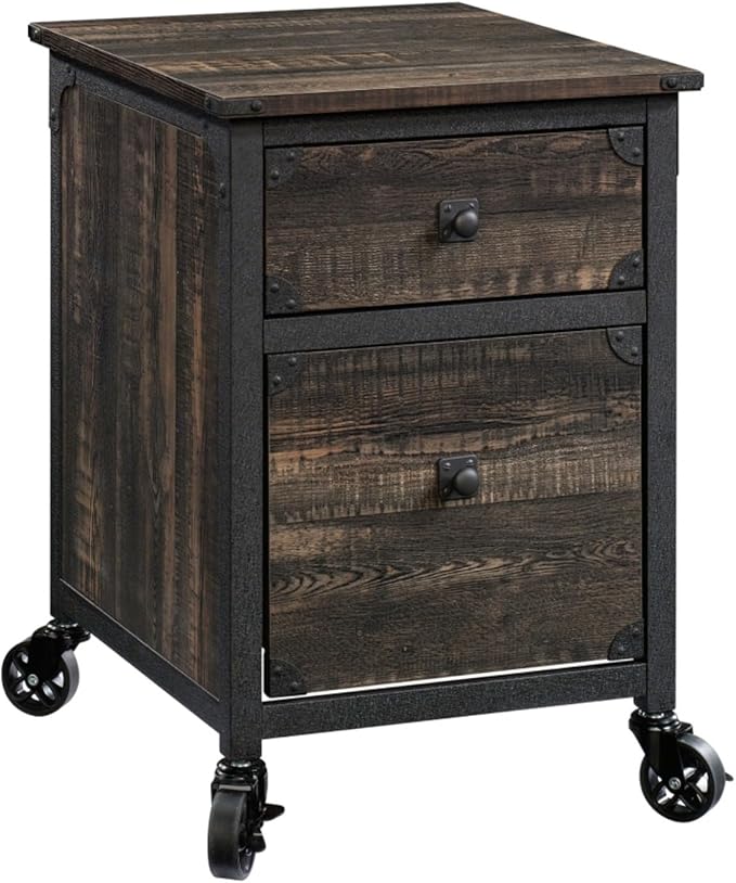 Hassyee Durable Powder-Coated Metal Frame Two Spacious Drawers Mobile Filing Cabinets with Smooth-Glide Drawer Home Office File Cabinet