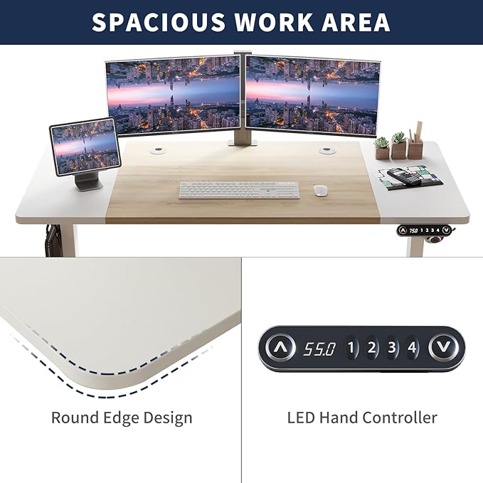 63 Inch Electric Standing Desk Height Adjustable Sit Stand Desk with Memory Control and Spacious Desktop for Home Office