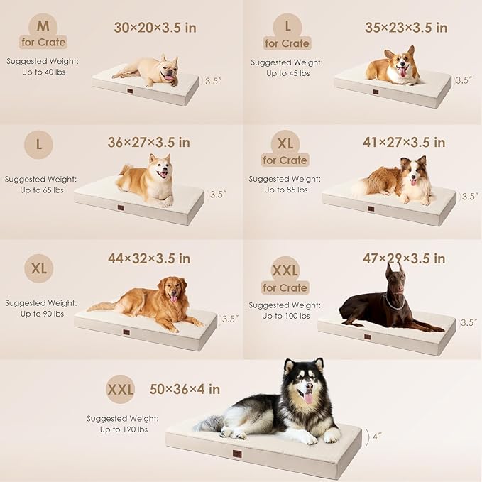 EHEYCIGA Orthopedic Dog Beds for Large Dogs with Removable Washable Cover Camel 36x27