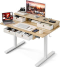 Grandder 47 Inch Electric Standing Desk with Four Drawers Sit to Stand Up Height Adjustable Desk with Storage Shelf for Home Office Study Ergonomic Adjustable Computer Desk Oak