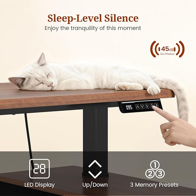 L Shaped Standing Desk Adjustable Height 53 Electric Office Desk with File Drawers &amp Storage Shelves Sit Stand Corner Computer Desk with Power Outlets Pegboard 6 Hooks Black &amp Walnut