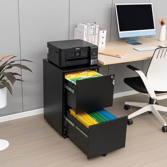 Mobile File Cabinet with Lock 2 Drawer Steel Filing Cabinet for Legal/Letter/A4/F4 Files Fully Assembled Except Wheels Cold-Rolled Metal Full Extension Drawers (Black)