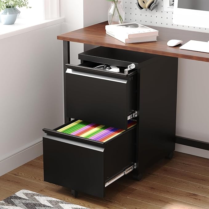 Letaya 2 Drawer Mobile File Cabinet with Lock Under Desk Metal Rolling Filing Cabinets for Home Office Organizer Letters/Legal/A4 (Black- Requires Installation)