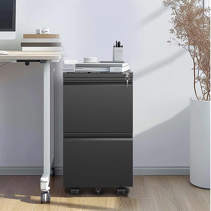 Black 2 Drawer Small File Cabinet with Lock Rolling Under Desk File Cabinet Metal Already Assembled File Cabinets Vertical Printer Stand Unit for Small Space Legal/Letter/a4 Size (Black)