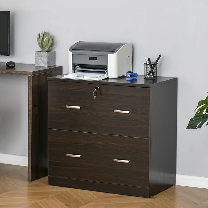 2 Drawer File Cabinet with Lock Small Filing Cabinets Under Desk Storage Organizer for Home Office Vertical 2-Drawers Locking Cabinet for Letter SizeNatural