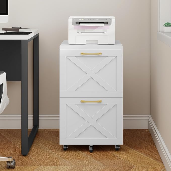 Vabches Farmhouse File Cabinet with 2 Drawers Modern White