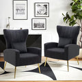 Velvet Accent Arm Chairs Set of 2 with Wingback &amp Lumbar Pillow Modern Armchairs for Living Room Bedroom Guest Reception Side Chairs for Office Gold Finish Black