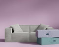 ROVE LAB Love Seat Sofa in a Box No Assembly Deep Seat and Comfy Modular Sofa Spill-Proof Fabric Modern Small Couch for Living Room Loveseats Bedroom Apartment Home Office (Platinum Grey)