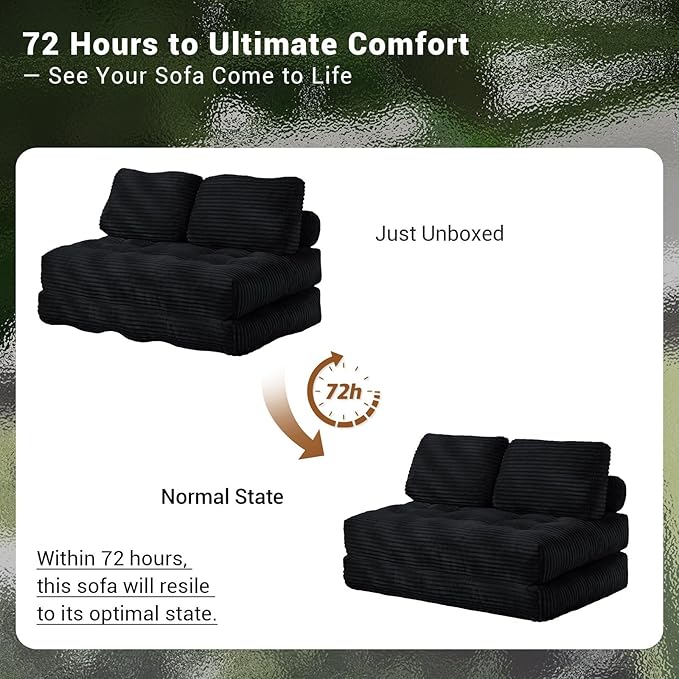 Folding Sofa Bed Convertible Loveseat Sleeper Chair with Pillow Portable Floor Couch for Living Room and Bedroom Comfy Floor Lounge Chair Bed for Small Spaces Black