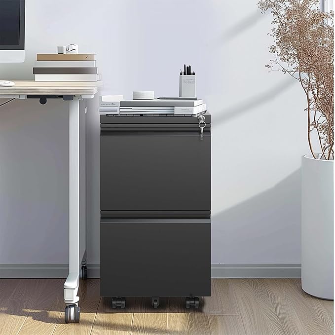 2 Drawer Mobile File Cabinet Rolling Vertical Metal Filing Cabinet with Lock for Home Office A4/Letter/Legal Size Folder Fully Assembled Except Wheels Black
