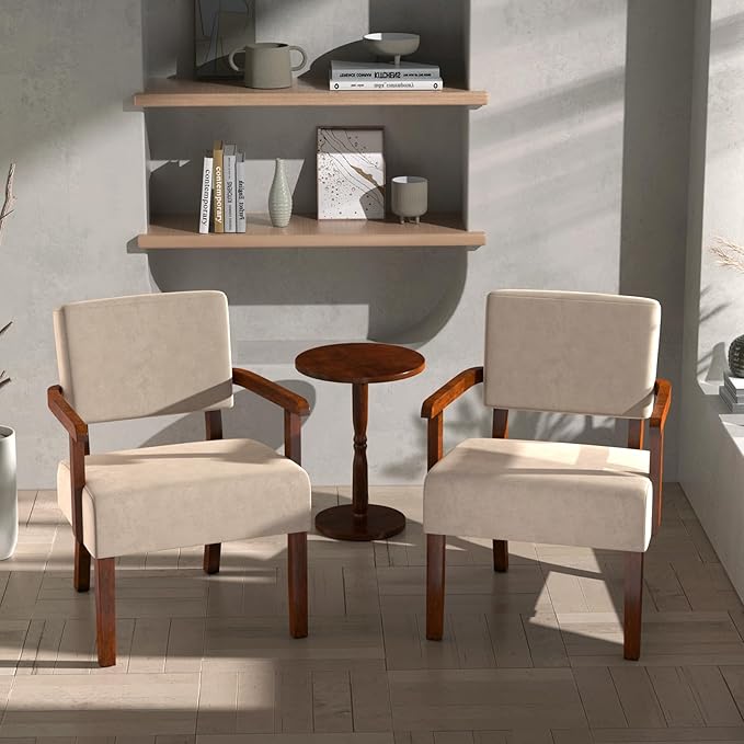Accent Chair Cat-Scratch Velvet Living Room Chairs Oversize with Soft Seat and Armrests for Dinning Room Bedroom Reading Room Waiting Room