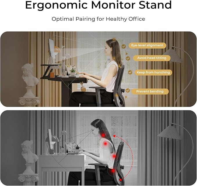 COMHOMA Electric Standing Desk with Drawers 48 x 24'' Sit Stand up Desk with Monitor Stand Laptop Stand Height Adjustable Ergonomic Home Office Computer Desk with Memory Preset Controller (Black)