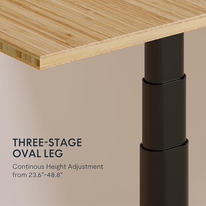 FLEXISPOT E6 Pro Oval Leg Dual Motor 3 Stages Bamboo Whole-Piece Electric Standing Desk 48x24 Inch Board Height Adjustable Electric Sit Stand Up Desk (Black Frame + Bamboo Whole-Piece Desktop)