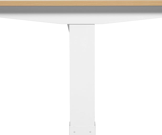 Furniture of America Grant Minimalist Metal Height Adjustable 48 in. Standing Desk for Home Office White and Maple