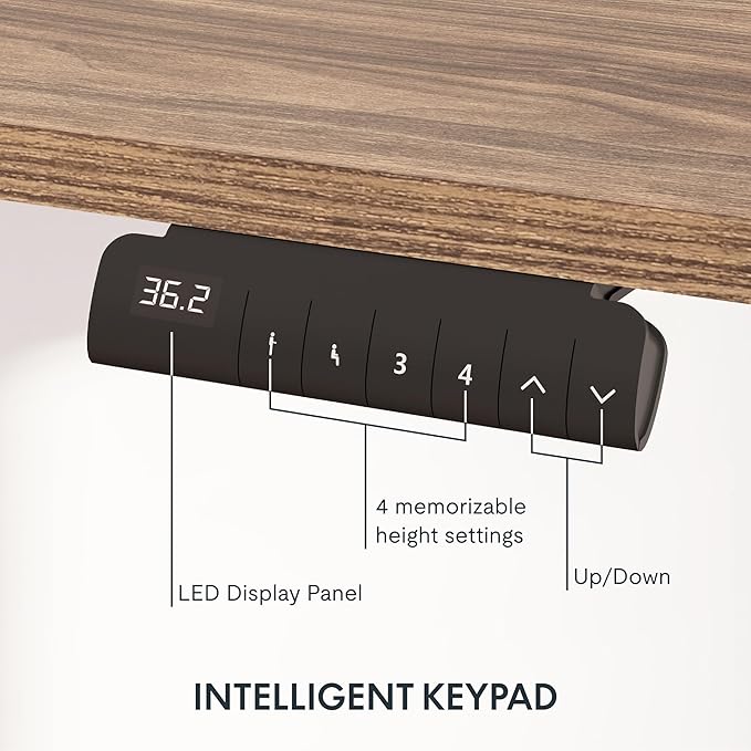 FLEXISPOT E6 3-Stage Dual Motor Electric Standing Desk 55 x 28 Sit Stand Up Desk Holds 220 lbs Adjustable Height w/Memory Presets One-Piece Grey Wood Grain Desktop &amp White Frame Ships in 2 Box