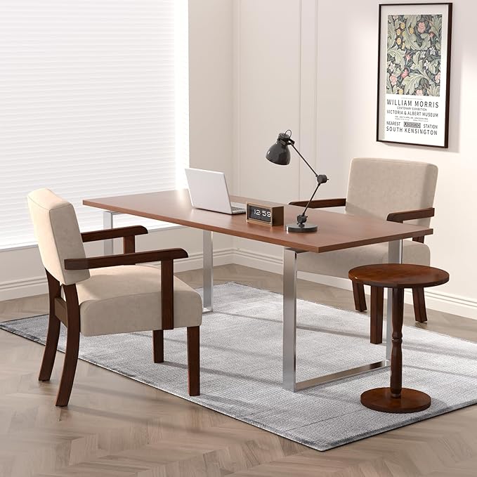 Accent Chair Cat-Scratch Velvet Living Room Chairs Oversize with Soft Seat and Armrests for Dinning Room Bedroom Reading Room Waiting Room