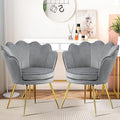 Accent Chairs Set of 2 for Living Room Velvet Upholstered Makeup Room Vanity Chair with Back Golden Metal Legs Small Accent Side Chair for Bedroom Cloud Chair Set 2 Pcs Light Grey