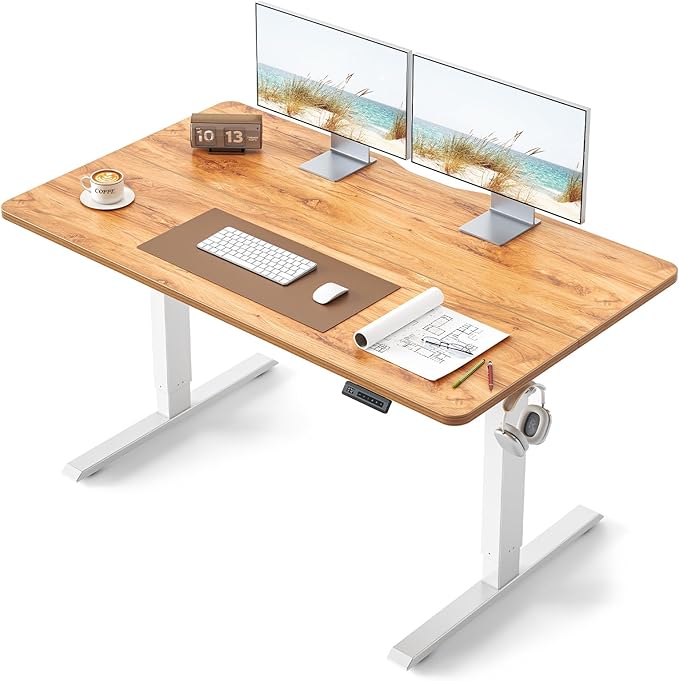 BANTI 55 × 28 Inches Standing Desk Ergonomic Electric Height Adjustable Sit and Stand Up Computer Desk with a Deeper Desktop White Frame/Light Rustic Top