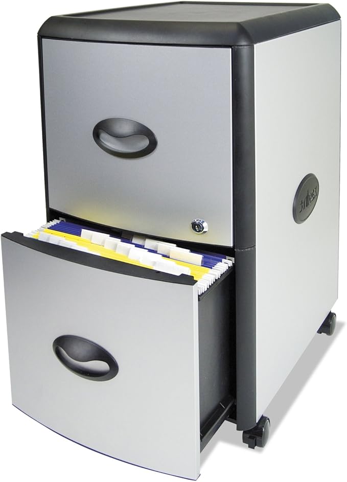 Storex 2-Drawer Mobile File Cabinet with Lock 19 x 15 x 23 Inches Metal Accent Panels (STX61351U01C)Silver/Black