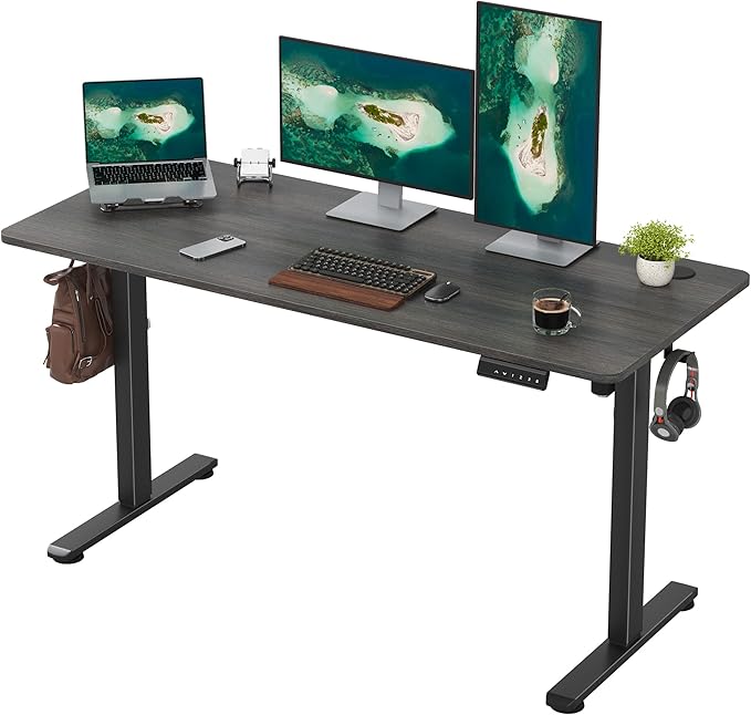 Casaphoria 55 x 24 inches Electric Standing Desk Sit to Stand Desk with Memory Height Adjustment Home Office Computer Desk for Writing and Games Grey