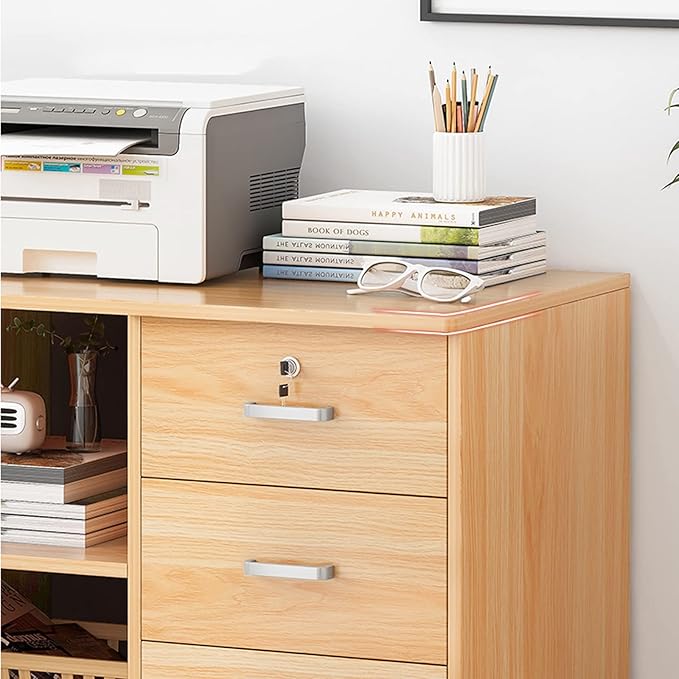 HASMI Filing Cabinet File Cabinet with Lock Office Cabinet Wooden Side Cabinet Modern Storage Cabinet Floor Document Cabinet Storage Cabinet (Color : C) yuqing2022