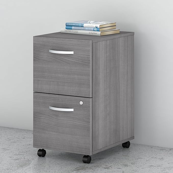 Bush Business Furniture Studio C 2 Drawer Mobile File Cabinet in Platinum Gray - Assembled Rolling Document Storage for Home or Professional Office