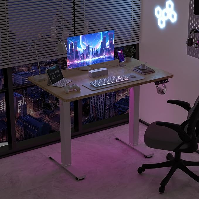 40 * 24 Electric Standing Desk Adjustable Height Sit Stand Up Desk Motorized Home Office Computer Gaming Workstation Desk