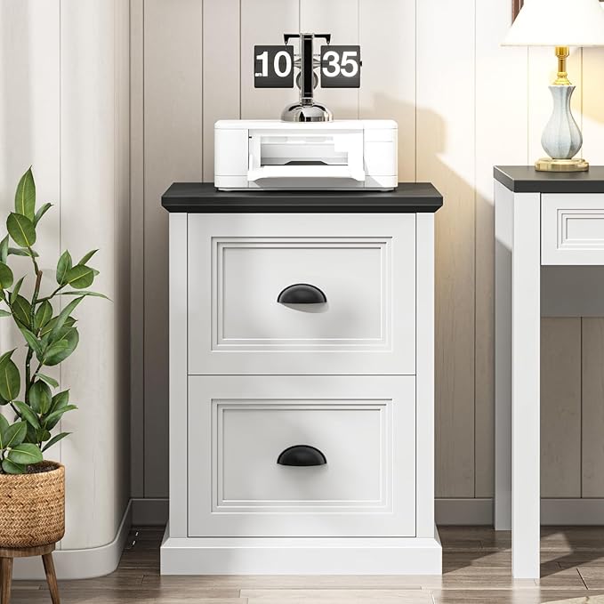 Vertical File Cabinet Filing Cabinet with 2 File Drawers Farmhouse Small File Cabinet Fits Letter/A4 Size Wooden Printer Stand Under Desk Cabinets for Home Office White and Black