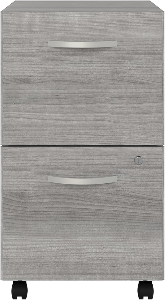 Bush Business Furniture Studio C 2 Drawer Mobile File Cabinet in Platinum Gray - Assembled Rolling Document Storage for Home or Professional Office