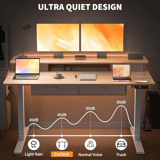 Electric Standing Desk 48 * 30 Inches Adjustable Height with 4 Drawers Double Storage Shelves Home Office Workstation Sit Stand up Desk (Nature)