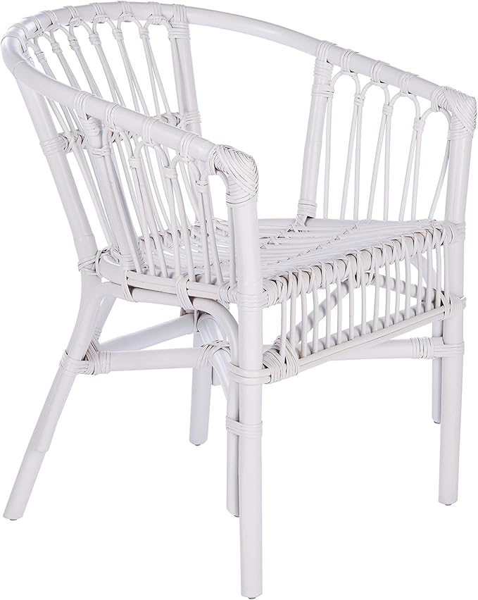 Safavieh Home Adriana Coastal White Rattan (Set of 2) Accent Chair (ACH6505B-SET2)