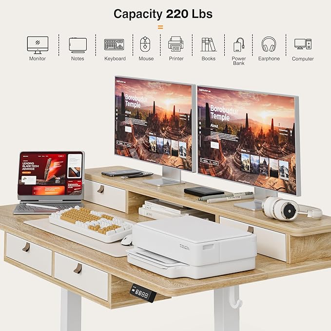 Grandder 47 Inch Electric Standing Desk with Four Drawers Sit to Stand Up Height Adjustable Desk with Storage Shelf for Home Office Study Ergonomic Adjustable Computer Desk Oak