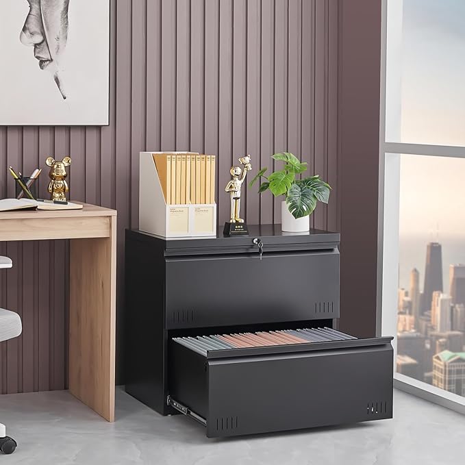 2 Drawer File Cabinet File Cabinets for Home Office Printer Stand File Cabinet with Lock Lateral Filing Cabinet for A4/Letter/Legal Size File Folders Assembly Required(Black)