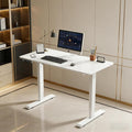 Electric Standing Desk 55 x 24 Inch Height Adjustable Desk Sit Stand Desk with Type-C Charging and Memory Preset Computer Desk for Home Office (White)