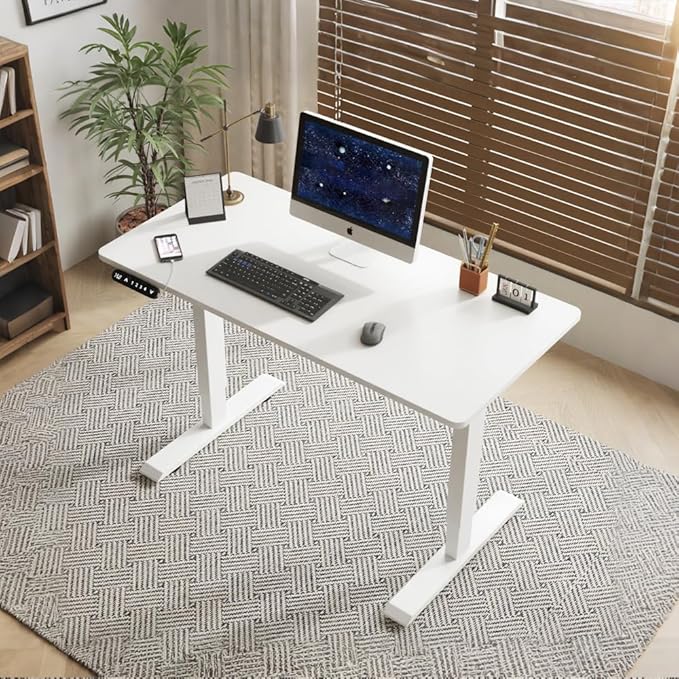 Ball &amp Cast Electric Standing Desk 55 x 24 Inches Height Adjustable Sit Stand Desk with Memory Preset &amp Built-in USB Type-C Motorized Home Office Gaming Computer Desk White