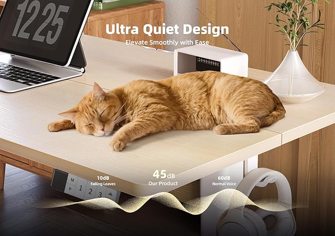 YDN Electric Standing Desk Adjustable Height 48 x 24 Inches Stand up Desk with Cable Management Home Office Desks with Splice Board &amp White Frame Nature Top