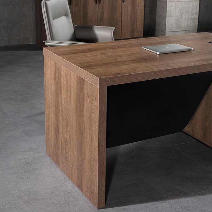 Modern Executive Desk Rectangle Office Desk with Storage Cabinet Width Adjustable Standing Desks Stand Under Table Storage Organizer Wood