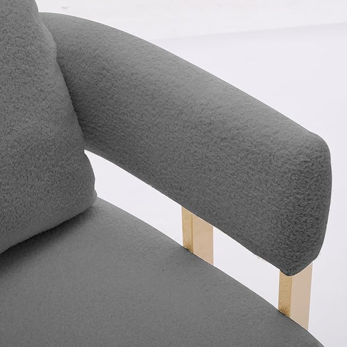 TS Modern Decorative Chair Living Room Side Chair with Gold Metal Legs no Wheels Suitable for Dressing Area Reception Room OfficeTeddy Fleece upholstered Metal Foot Sofa 1PC Grey