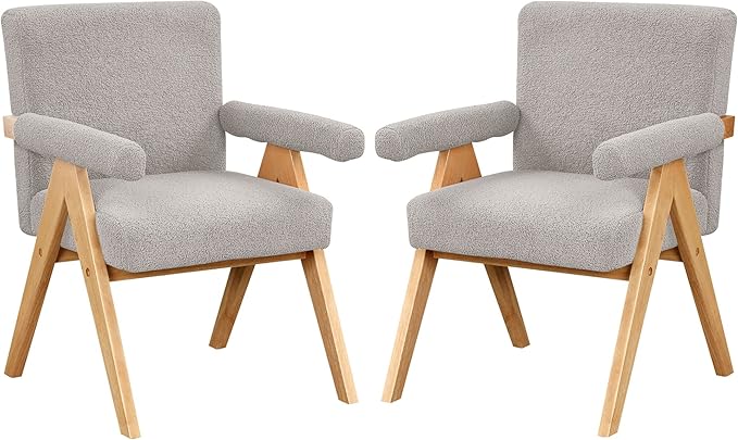 Modern Arm Chair Set of 2Chair Set with Solid Wood Frame Altay Velvet Upholstered Accent Chairs with arm Pads for Living Room Bedroom Apartment Gray