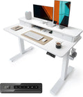 BANTI 48 x 24 Inch Electric Height Adjustable Standing Desk Ergonomic Home Office Desk with Double Drawers 4 Adjustable Feet &amp 2 Hooks Computer Workstation for Study/Office White