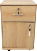 Asixxsix Lockable 2 Drawer Mobile File Cabinet with Lock Under Desk Metal Filing Cabinet for Legal Letter A4 File Mobile File Cabinet with Wheels for Home Office Stylish Modern Design