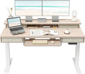 FEZIBO 55'' x 24 Height Adjustable Electric Standing Desk with 4 Drawers and Keyboard Tray Home Office Table for Work Study Gaming Writing Light Walnut
