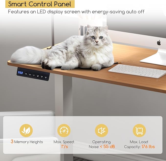 Giantex Electric Standing Desk Height Adjustable Stand up Desk with 3 Memory Heights 2 Hanging Hooks 2 Cable Management Holes Sit Stand Home Office Computer Desk (Natural 48x24 Inch)