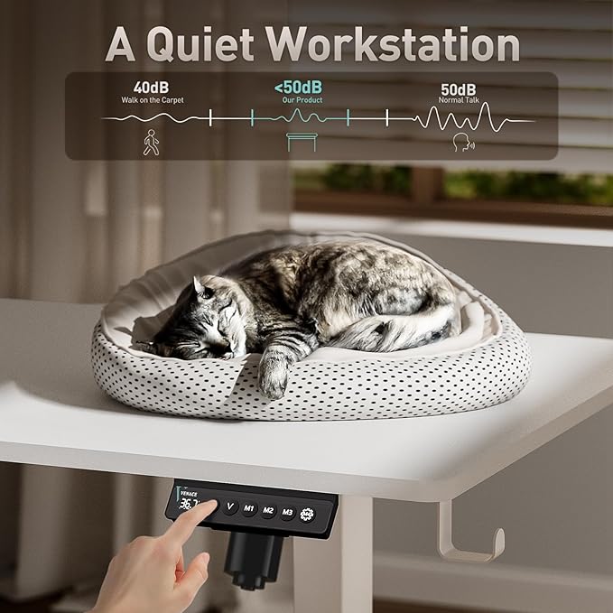 Singel Motor Standing Desk 63 inch White