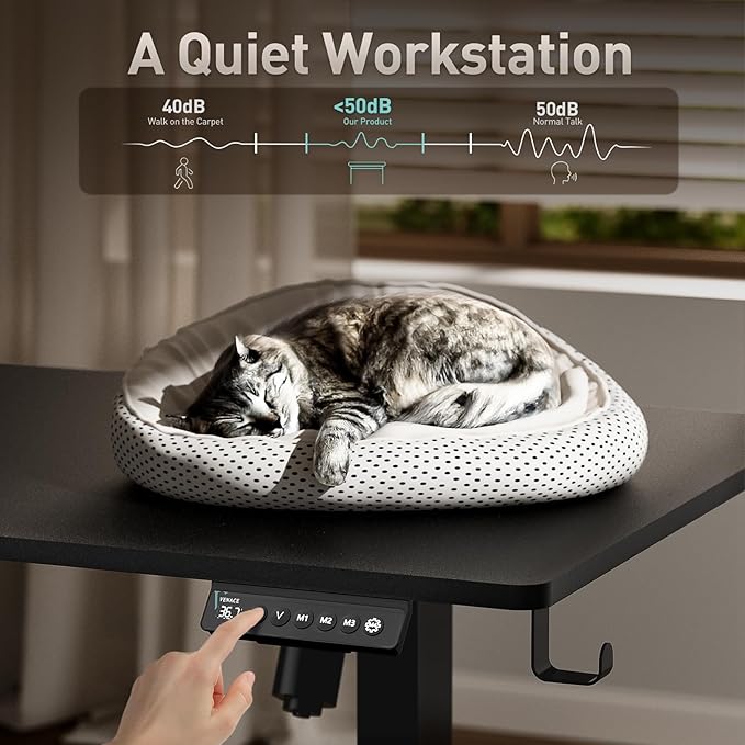 Electric Standing Desk Height Adjustable Desk 63 inch 4 Memory Height Ergonomic Sit Stand up Desk for Home Office Black 2 Split Boards
