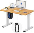 FLEXISPOT EN2 48''x24'' Electric Standing Desk with PC Stand Bundle One-Piece Desktop Easy-to-Install Hanging Design PC Mount Bundle for Home Office Game &amp Small Spaces Maple